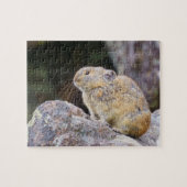 Pika Legpuzzel (Horizontaal)