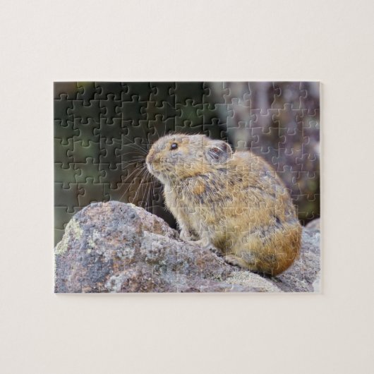 Pika Legpuzzel (Horizontaal)