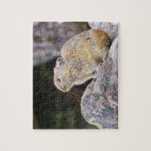 Pika Legpuzzel (Verticaal)