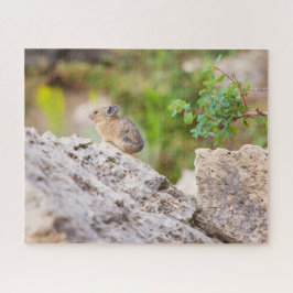 Pika Legpuzzel