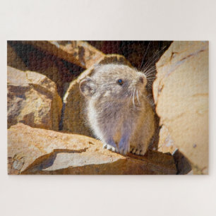 Pika Legpuzzel