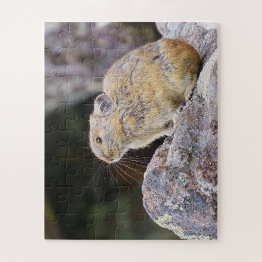 Pika Legpuzzel (Verticaal)