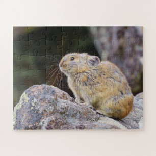 Pika Legpuzzel