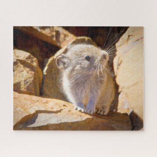 Pika Legpuzzel