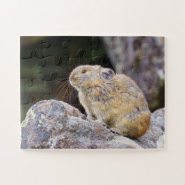 Pika Legpuzzel