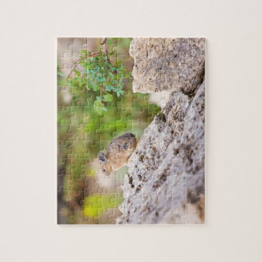 Pika Legpuzzel (Verticaal)