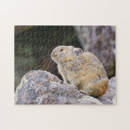 Pika Legpuzzel