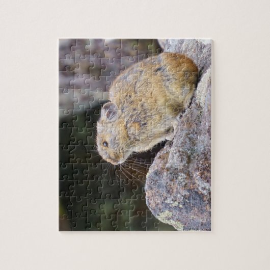 Pika Legpuzzel (Verticaal)