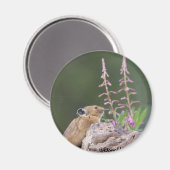 Pika Magneet (Voorkant / Achterkant)