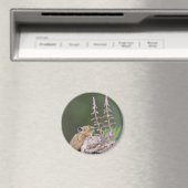 Pika Magneet (Insitu (Vaatwasser))