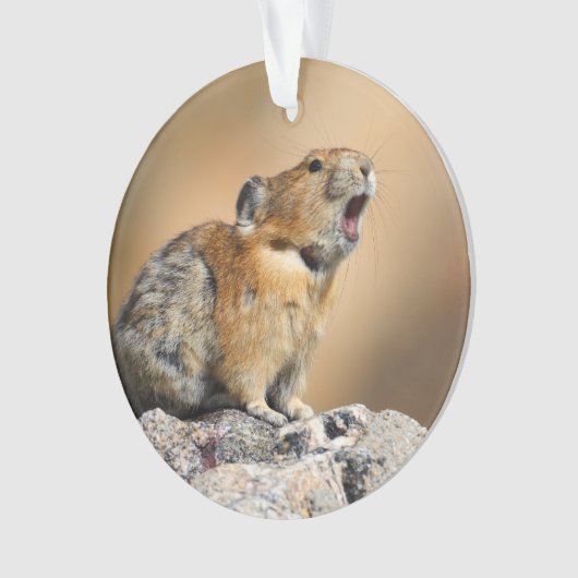 Pika Ornament (voorkant)