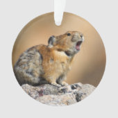 Pika Ornament (voorkant)