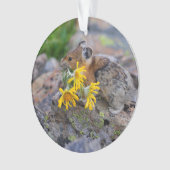 pika ornament (voorkant)