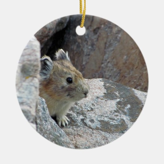 Pika Ornement Keramisch Ornament (Voorkant)