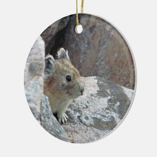 Pika Ornement Keramisch Ornament (Links)