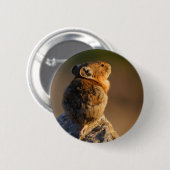 pika ronde button 5,7 cm (Voorkant /achterkant)
