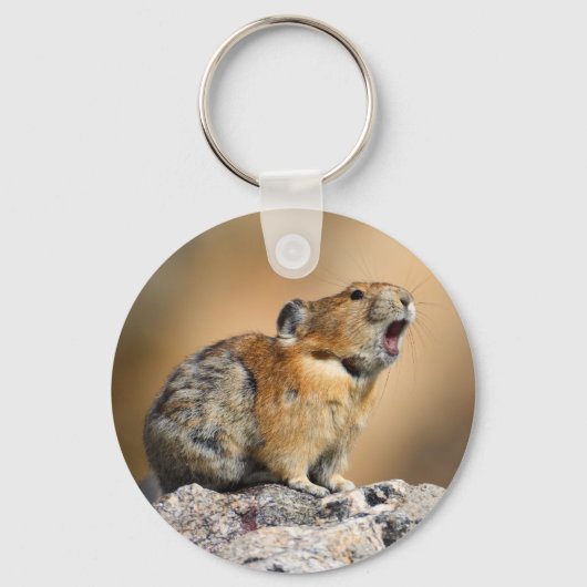 pika sleutelhanger (Voorkant)