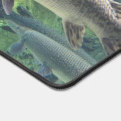 Pike Fish Clear Water Foto Bureaumat (Hoek)