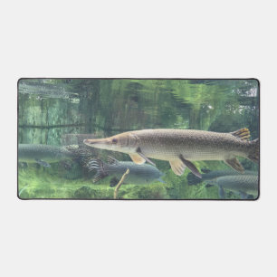 Pike Fish Clear Water Foto Bureaumat