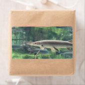 Pike Fish Etiket (Insitu)