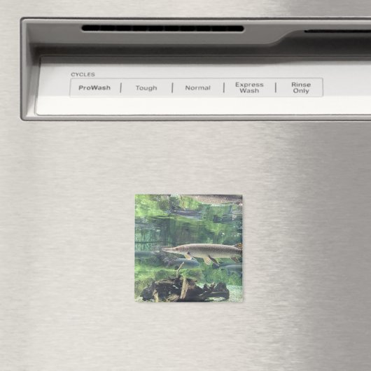 Pike Fish Magneet (Insitu (Vaatwasser))