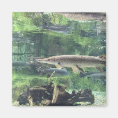 Pike Fish Magneet (Voorkant)