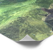 Pike Fish Poster (Hoek)