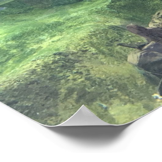 Pike Fish Poster (Hoek)