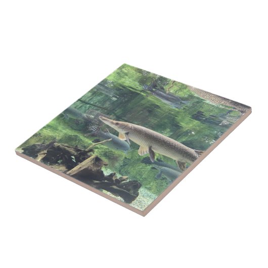 Pike Fish Tegeltje (Zijkant)