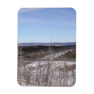 Pike Forest Photo Magnet Magneet