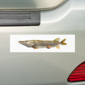Pike Muski Bumpersticker (Op auto)