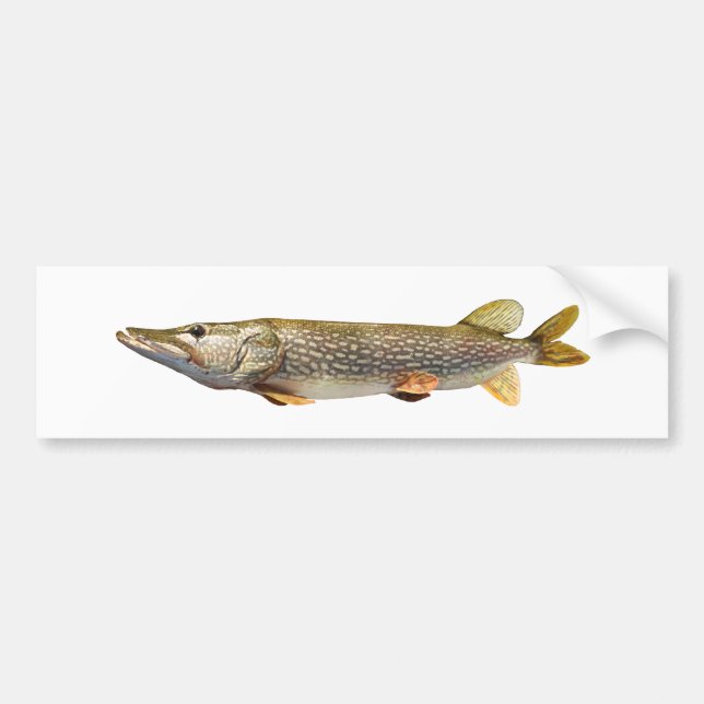 Pike Muski Bumpersticker (Voorkant)