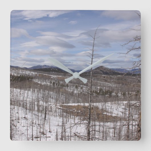 Pike National Forest Clock Vierkante Klok (Voorkant)