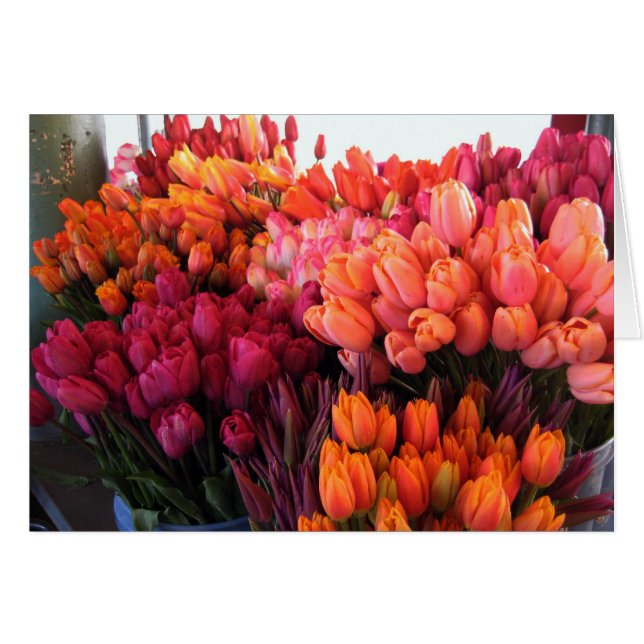 Pike Place Tulips Card (Voorkant Horizontaal)