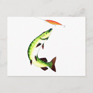 Pike Vis Briefkaart