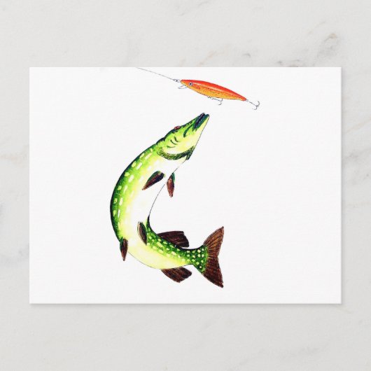 Pike Vis Briefkaart (Voorkant)
