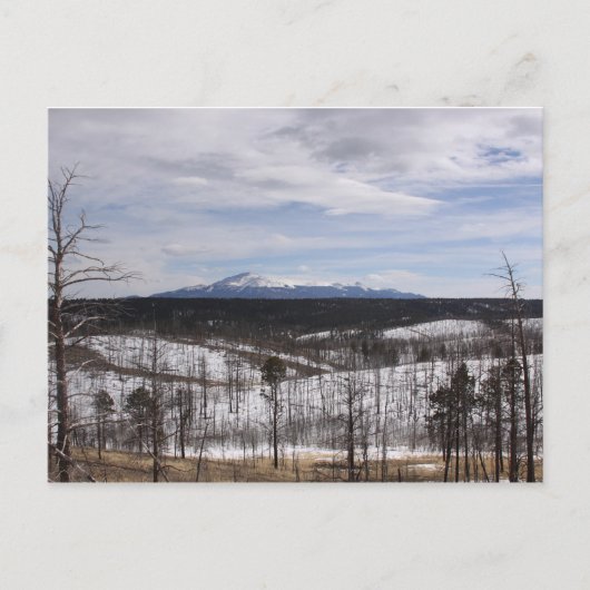 Pike's Briefkaart (Voorkant)