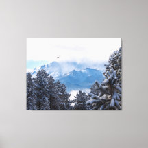Pikes Peak en een zwevende arend na een sneeuwstor