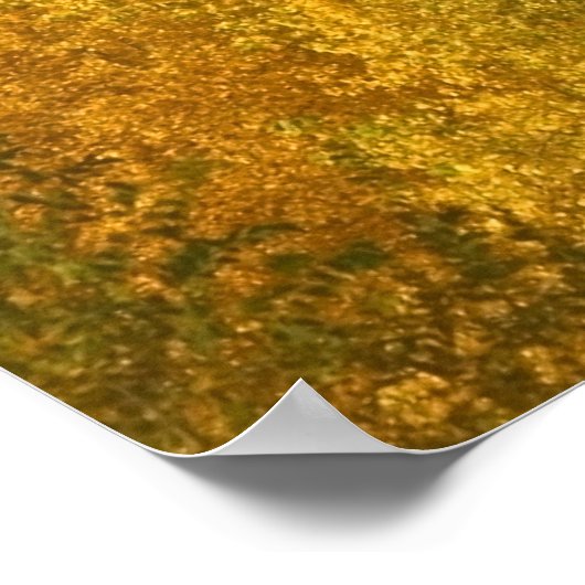 Pikes Peak in herfst Poster (Hoek)