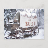 Pikes Peak of Bust Briefkaart (Voorkant)