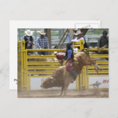 Pikes Peak of Bust Rodeo Briefkaart (Voorkant / Achterkant)