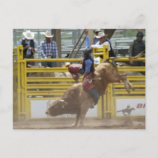 Pikes Peak of Bust Rodeo Briefkaart