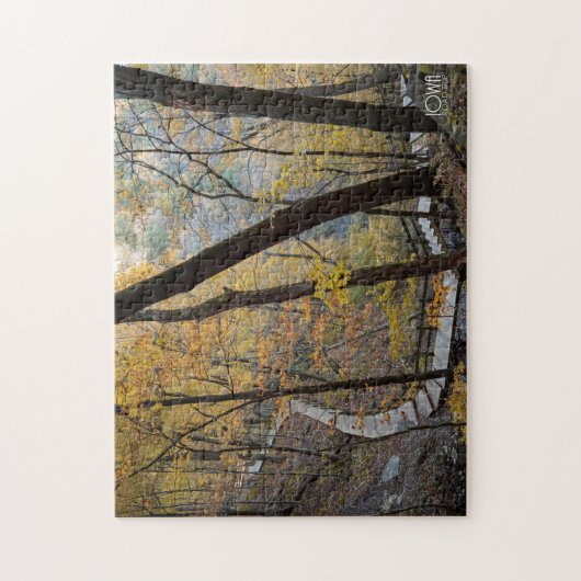 Pikes Peak State Park in McGregor, Iowa Legpuzzel (Verticaal)