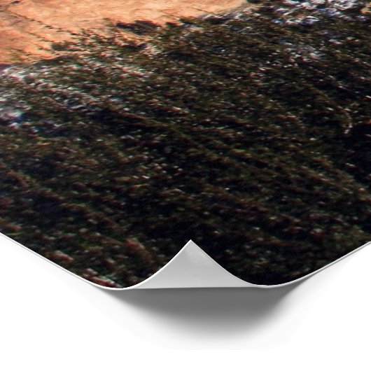 Pikes Peak, tuingoden Poster (Hoek)