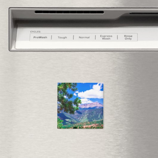 Pikes Peak uit de tuin van de goden Magneet (Insitu (Vaatwasser))