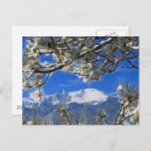 Pikes Peak Winter Snow Covered Fractal Art Briefkaart (Voorkant / Achterkant)