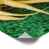 Pikes Place Market, Seattle, Washington, Verenigde Poster (Hoek)