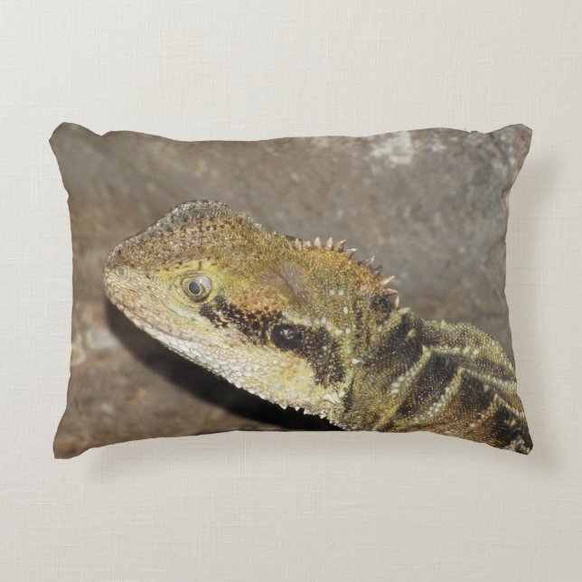 pil accent kussen (Voorkant)