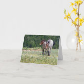 Pilar en Wildfire Pryor Mountain Wilde Paarden Kaart (Gele Bloem)