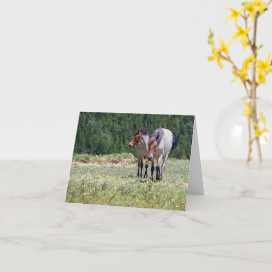 Pilar en Wildfire Pryor Mountain Wilde Paarden Kaart (Gele Bloem)